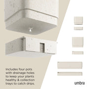 UMBRA - Cubiko Wall Planter | Modern Geometric Vertical Wall - Mounted Planter Home & Kitchen Sand