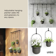 UMBRA - Triflora Hanging Planters | Set of 5 Home & Kitchen Black