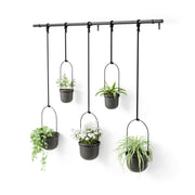 UMBRA - Triflora Hanging Planters | Set of 5 Home & Kitchen Black