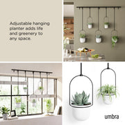 UMBRA - Triflora Hanging Planters | Set of 5 Home & Kitchen White/Black