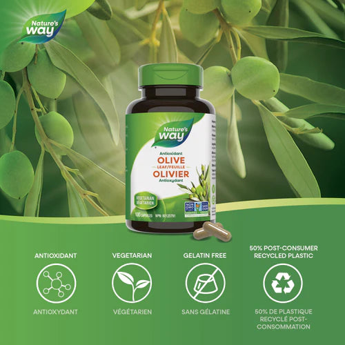 Nature's Way - Olive Leaf