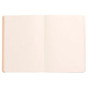 Rhodia - RHODIARAMA - Celadon Dot Grid Softcover Notebook | A5 / 160 pages detail