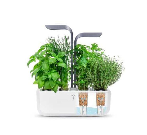 VERITABLE - VERITABLE CONNECT Infinity Grey Indoor Garden Home & Kitchen