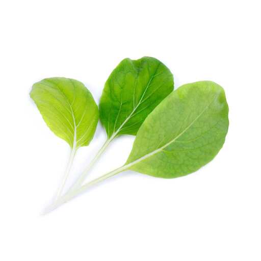 VERITABLE - VERITABLE Lingot Bok Choi BIO Food, Beverages & Tobacco
