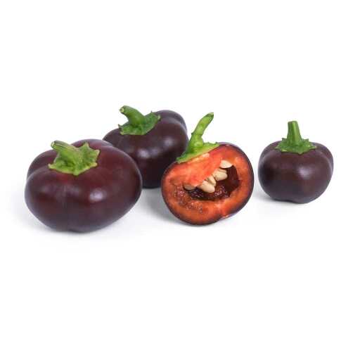VERITABLE - VERITABLE Lingot Chocolate Mini - Bell Pepper Organic Food, Beverages & Tobacco