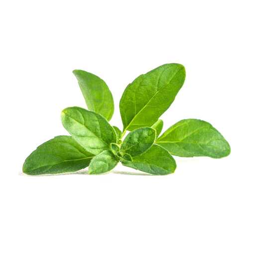 VERITABLE - VERITABLE Lingot Pennyroyal Mint Lingot Food, Beverages & Tobacco