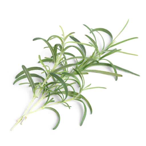 VERITABLE - VERITABLE Lingot Rosemary Food, Beverages & Tobacco