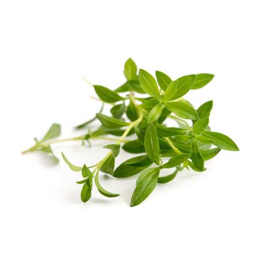 VERITABLE - VERITABLE Lingot Savory Organic Food, Beverages & Tobacco