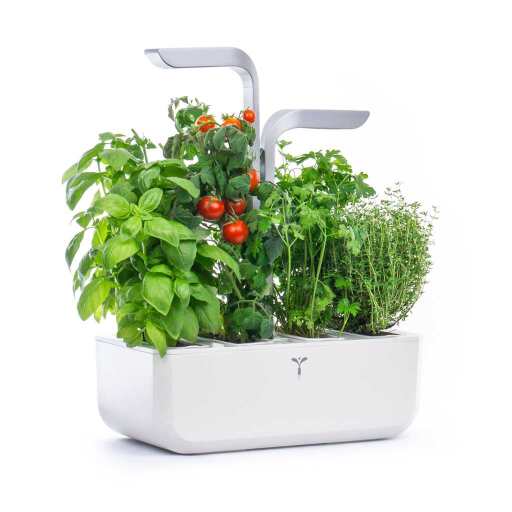 VERITABLE - VERITABLE SMART Arctic White Indoor Garden Home & Kitchen