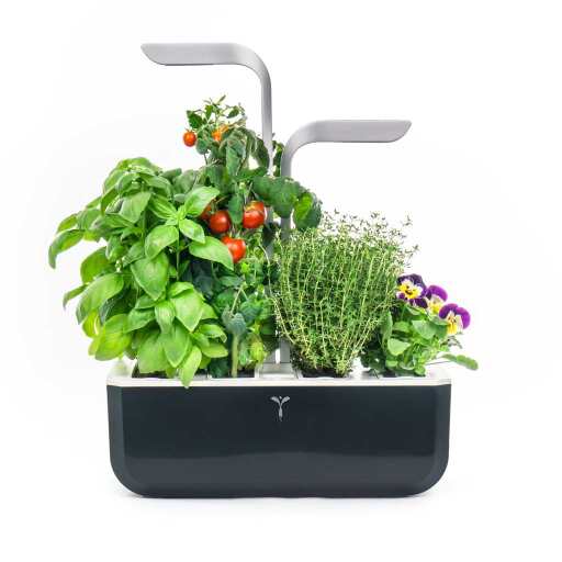 VERITABLE - VERITABLE SMART Soft Black Indoor Garden Home & Kitchen