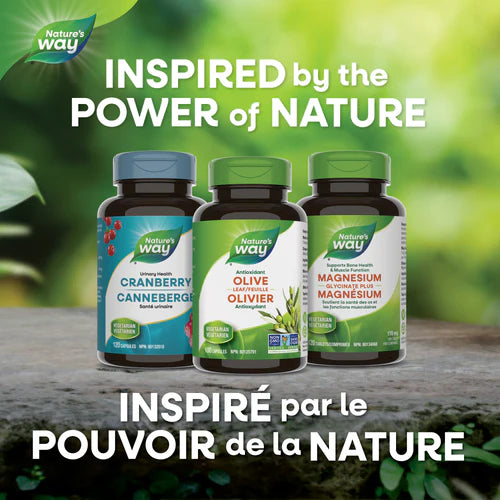 Nature's Way - Olive Leaf