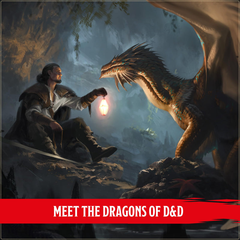 Wizards of The Coast - Dungeons & Dragons - Dragon Delves Toys & Games