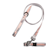 LUG - Fetch Pet Collar and Leash Set - Limolin 